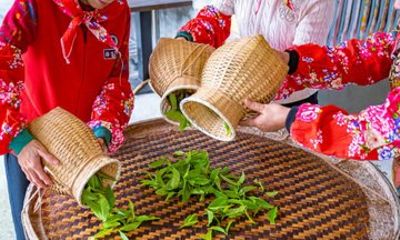 Yilan Tea Garden and Traditional Culture Full Day Tour