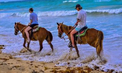 Punta Cana on Horseback Nature Beach and Dominican Tradition