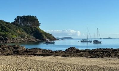 Waiheke Morning: Private Wine Experience for Two