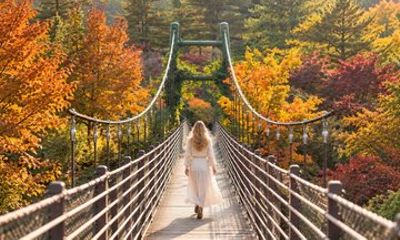 Nami Island and Garden of Morning Tour from Seoul
