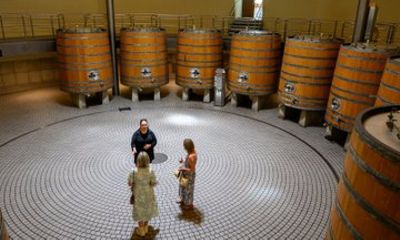 Hawkes Bay Icons: the flagship Private Wine Tour
