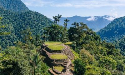 Private Minca Coffee and Waterfall Shore Tour from Santa Marta