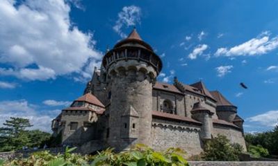 Castle Kreuzenstein & Falconry Private Shore Tour from Vienna