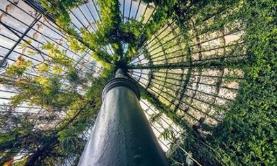 Madrid: Real Jardin Botanico Skip The Line Tickets