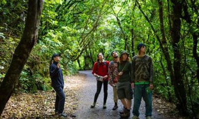 Small Group Tour of Forest Secrets Plant stories of Zealandia