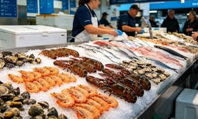 Sydney Fish Market Seafood Trade and Harbour Stories