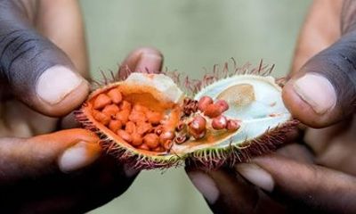 Zanzibar Private Spice Farm Tour