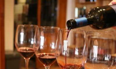 Valpolicella Intimate Amarone Wine Tour at a Hidden Winery