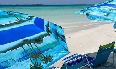 Thuwal Red Sea Boat Trip Private Experience