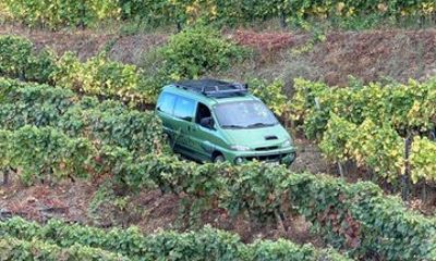 Douro 4x4 Tour 4x4 through the Douro Valley and many experiences