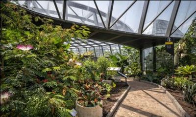 Bogotá Botanical Garden Shared Tour