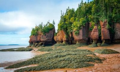 Saint John Hopewell & Fundy Park: Full-Day Private Shore Tour
