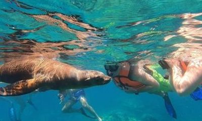 Isla Espíritu Santo Tour