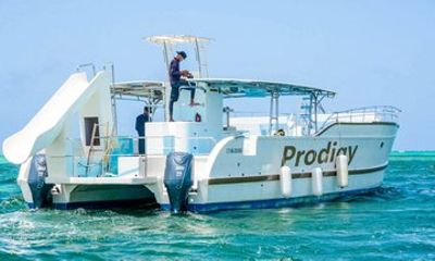 Private Punta Cana Boat Cruise with Brunch and Drinks