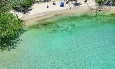 Visit Playa del Caribe with Boat Tour and Lunch