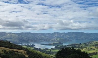 From Christchurch Akaroa and Banks Peninsula Private Tour