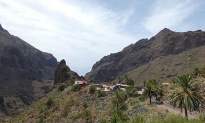 North Tenerife: Masca, Los Silos, Garachico, Icod