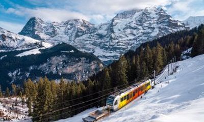 From Interlaken: Jungfrau Alps, Alpine Villages and Scenic Trains