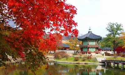 Seoul Highlights Private Walking Tour No Shopping Stops