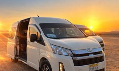 Kom Ombo and Edfu Temples Tour from Aswan to Luxor