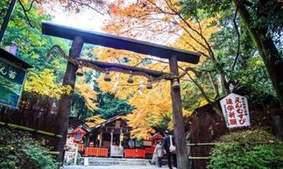 Kyoto Day Tour from Osaka: Katsuo-ji, Arashiyama & Kinkaku-ji