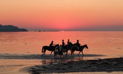 Beginner Horse Riding Experience on the Beach in Durrës