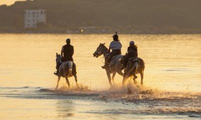 2 and a Half Hour Horse Riding Adventure in Durrës