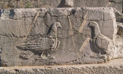 Nafplio Mythology of Hera and Hercules Sightseeing Tour