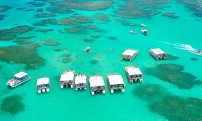 Maragogi Transport and Natural Pool Catamaran leaving from Maceió