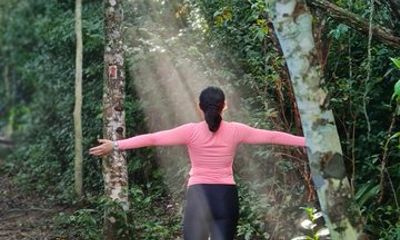 Rio Peaceful Nature Escape in Tijuca Rainforest