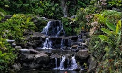 Kuru Natural Springs and Jungle Trails Tour