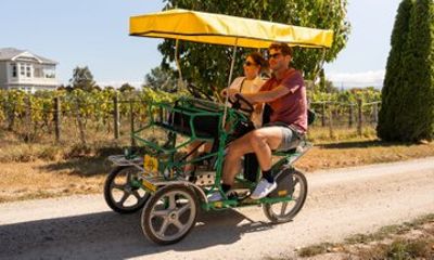 Self Guided Cycle Tour of Martinborough