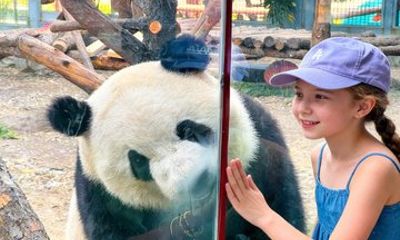 Beijing Panda Garden Entrance Tickets & Tour