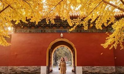 Beijing: Zhongshan Park Entrance Ticket