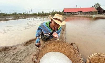 Full Day Tour with Salt Field Secret Lake Pepper Farm and Kep