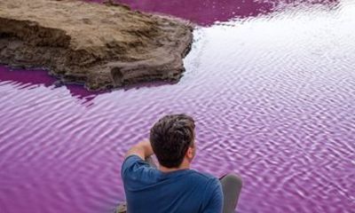 Pink Lake Private Tour
