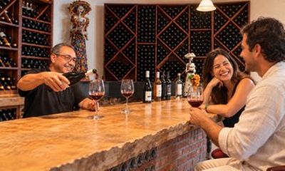 Boutique Mexican Wine Tasting in an Underground Cellar