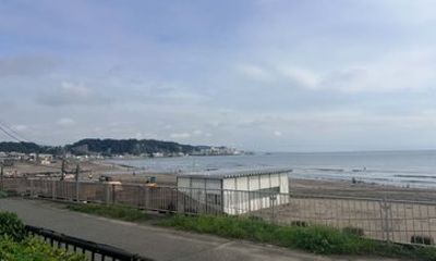 Kamakura 2 Hour History and Seaside Walking Tour