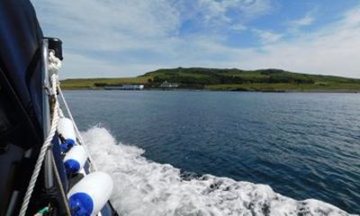 Lambay Island Wildlife Sea Safari