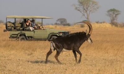 Chobe Day Trip Game Drive River Safari and Buffet Lunch