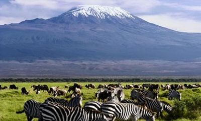 6 Days Small Group Safari To Masai Mara Nakuru And Amboseli