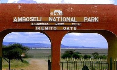 6 Days Safari to Amboseli Nairobi Park and Masai Mara