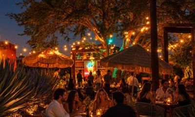 Private Tequila Adventure with La Amatiteña Garden