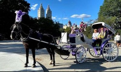 Central Park Horse Carriage Rides