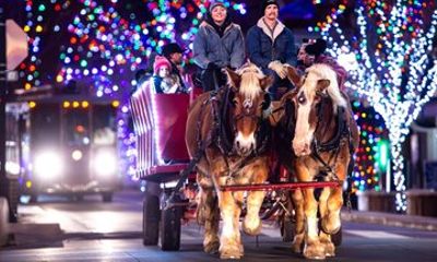 Horse-Drawn Christmas Light Private Tour in Grand Junction
