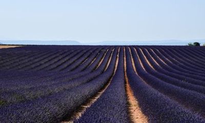 Valensole Lavender Fields & Moustiers Private Tour from Marseille