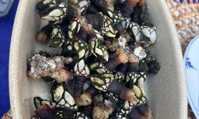 Casual & Delicious Gastronomic Journey Through Portugal - 5 Days