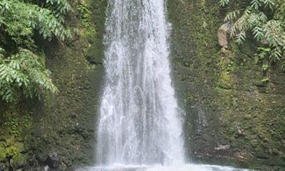 Private Tour Sanguinho Trail and Prego Waterfall, Northeast and Lunch