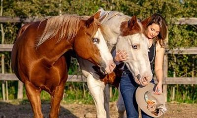 Mindful Meditation with Horses at Reid Ranch