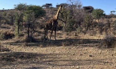 Windhoek Guided Hike and Walking Safari